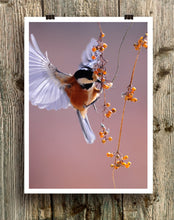 Load image into Gallery viewer, Bird Art Print